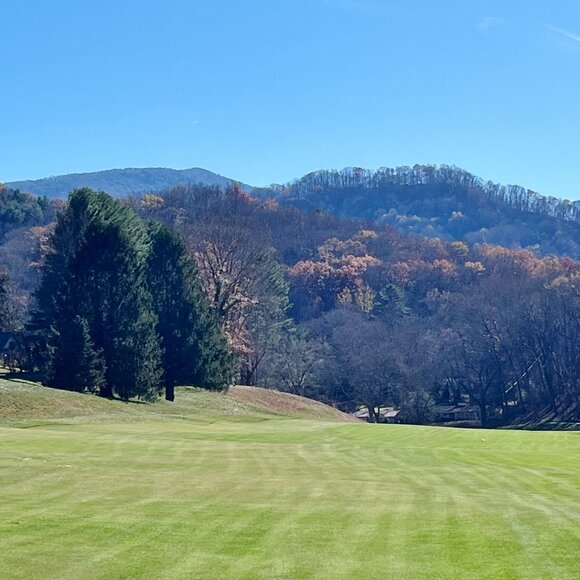 NEW WITH TAGS & FEATURED LISTINGS in this closet section.   Meet High Line Golf - Picture 6 of 7